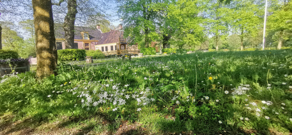 Doe mee met de fotowedstrijd Stinzenplanten. Het sneeuwklokje is dé voorbode van het voorjaar. Vanaf begin februari tot ver in mei vormen de historische tuinen en parken van kastelen, buitenplaatsen en landgoederen (KBL) het podium voor de zogenaamde stinzenplanten. Deze bonte verzameling uitbundig bloeiende en sterk verwilderende bolgewassen zijn onlosmakelijk verbonden met KBL.